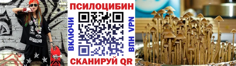 Псилоцибиновые грибы Magic Shrooms Новая Ладога