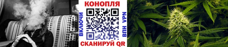 Шишки марихуана сатива Новая Ладога